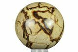 Polished Septarian Sphere - Madagascar #289926-1